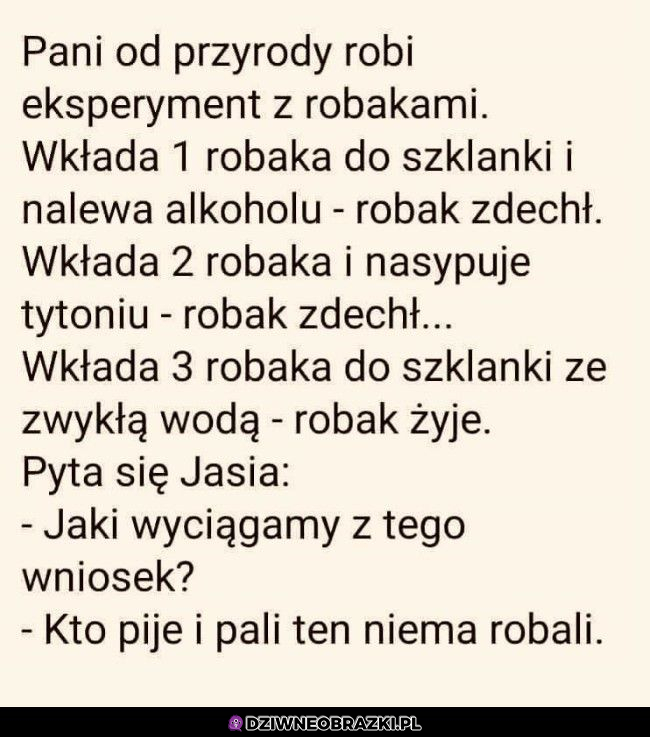 Wnioski z eksperymentu