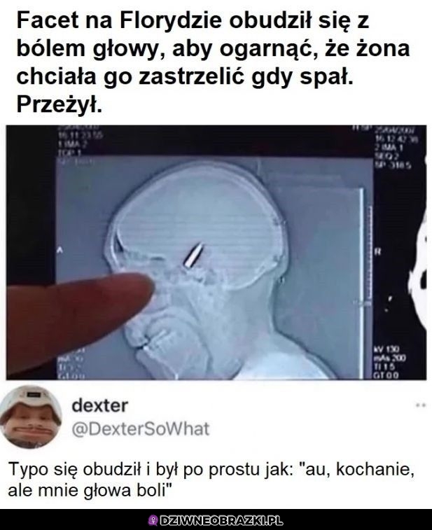 Co tu się