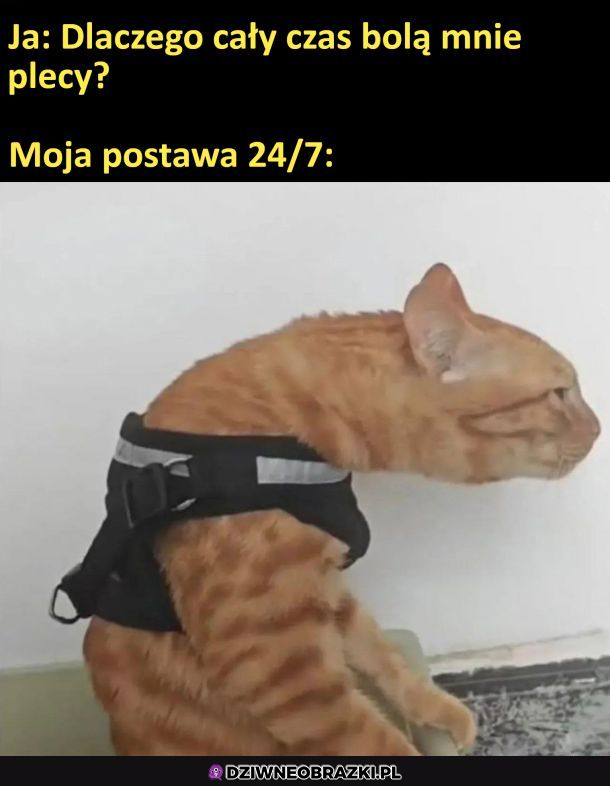 Ból pleców