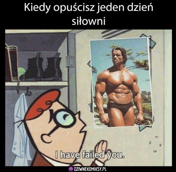 Dzien bez silki