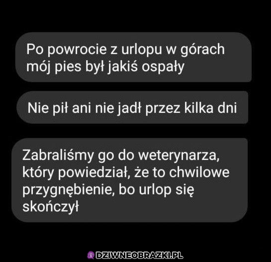 Nie chciał wracać