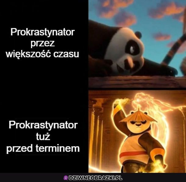 Prokastrynator 