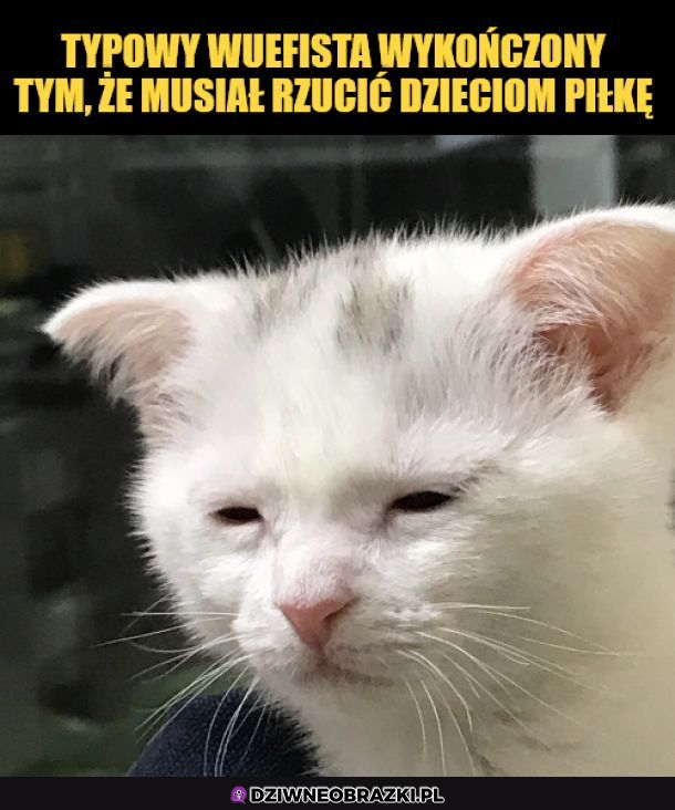 Prawie tak zmęczony jak pani od polskiego 