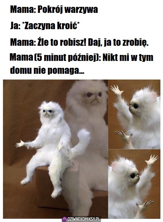 Matki juz tak maja