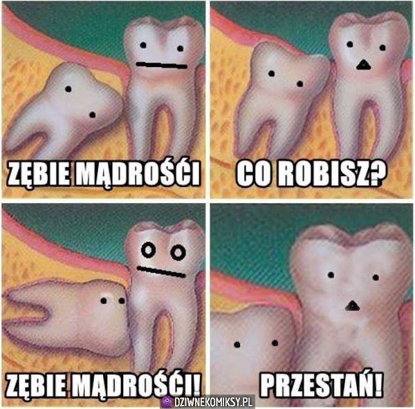 Typowy ząb mądrości