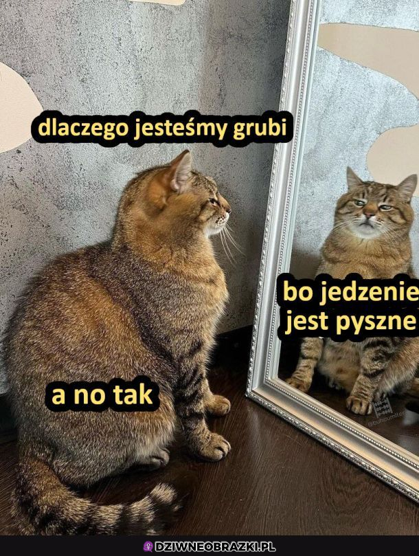 Dlaczego??