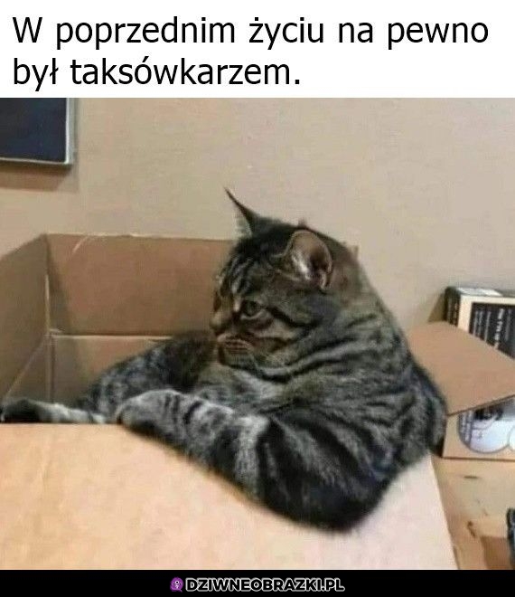 I to warszawskim