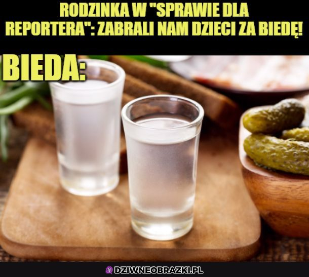 Bieda