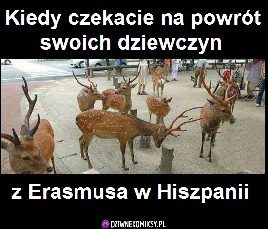Powrót dziewczyn