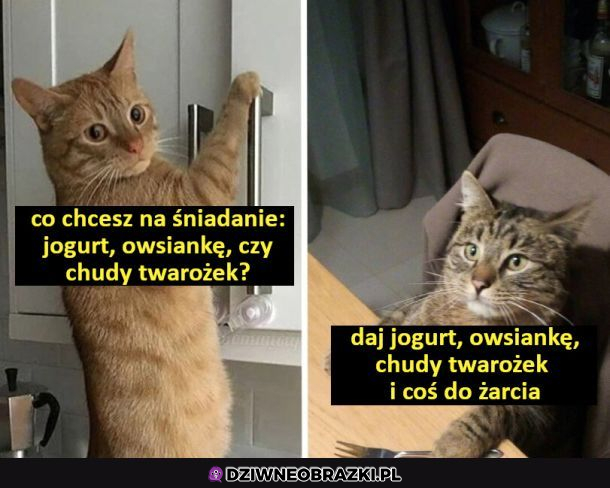 śniadanko