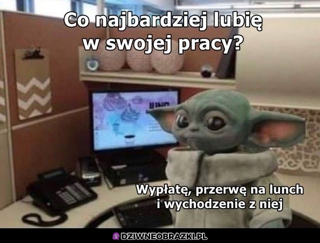 Ulubione składowe pracy