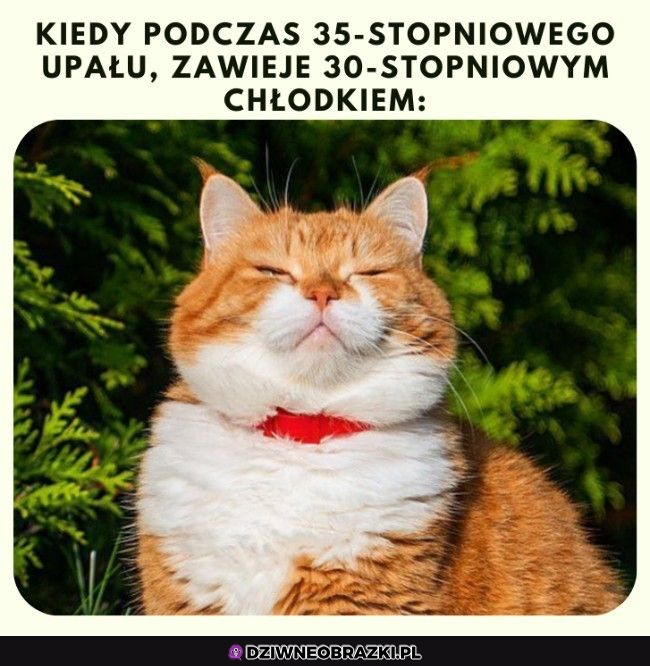 Oooooo jak dobrze