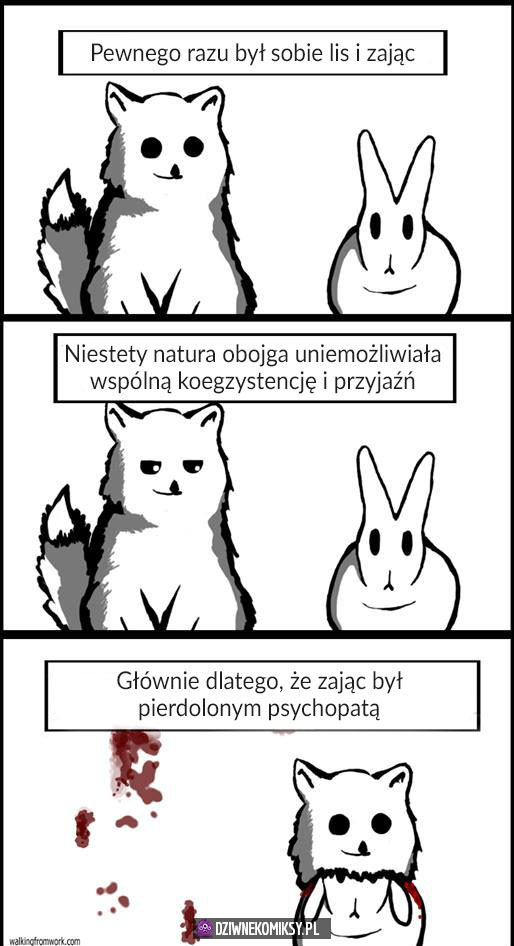 Lis i królik