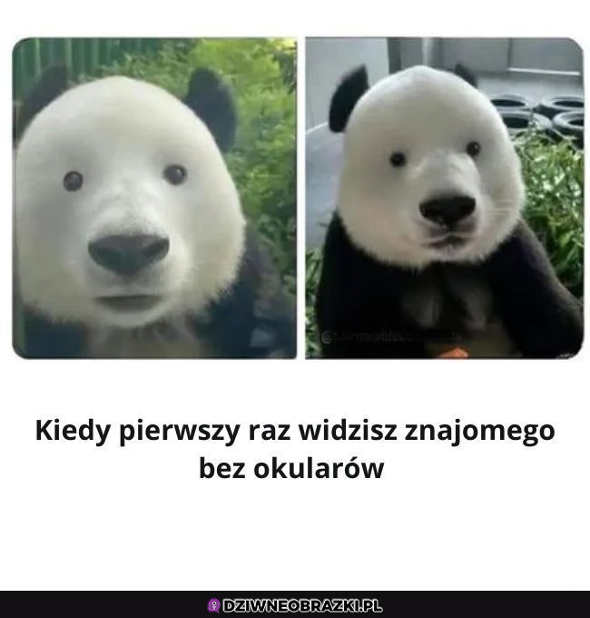 Nie ma to jak krecie oczka 