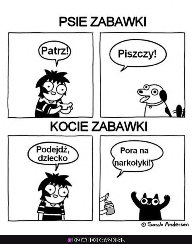 pies vs kot