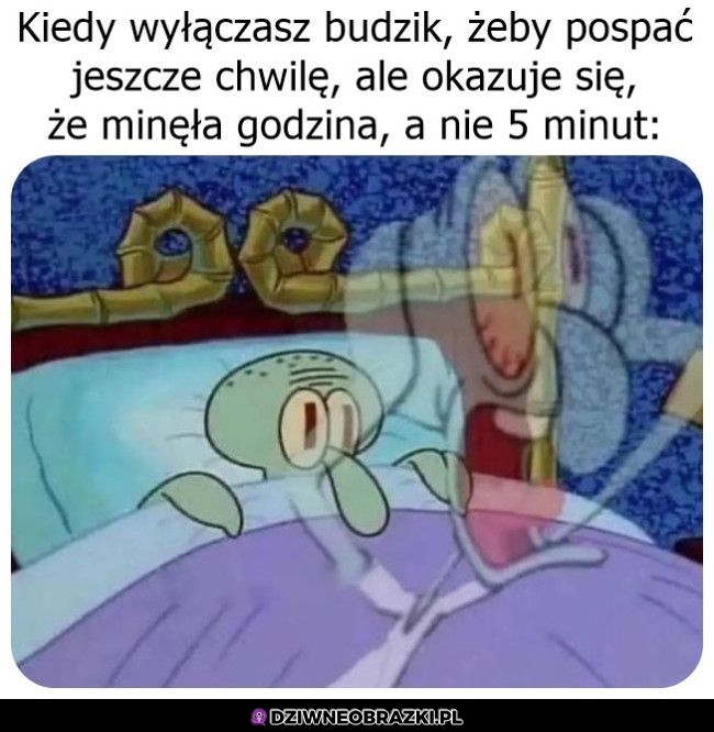 Ten moment