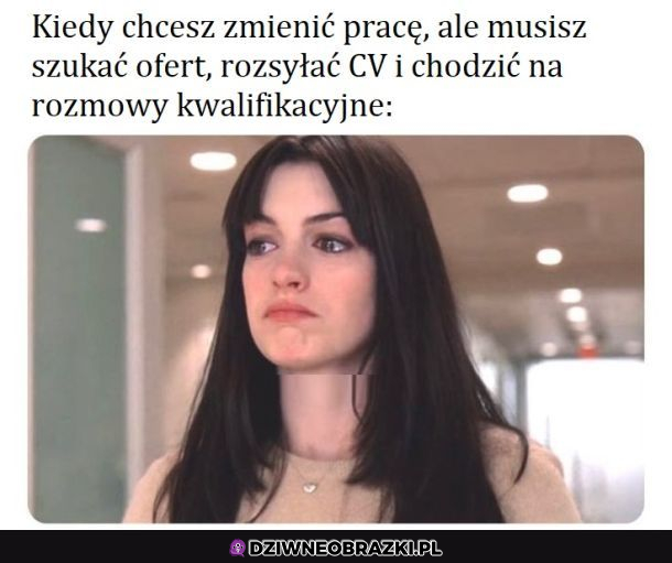 Za dużo wymagań