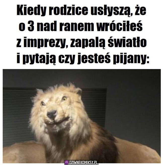 Nigdy w życiu