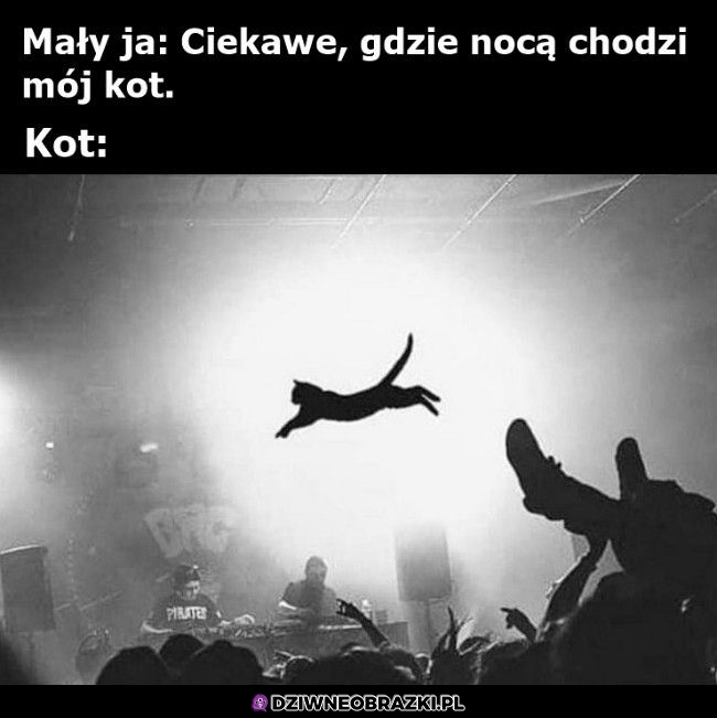 Ma ciekawe życie
