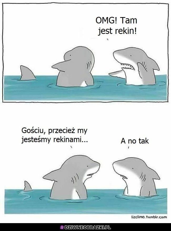Rekin