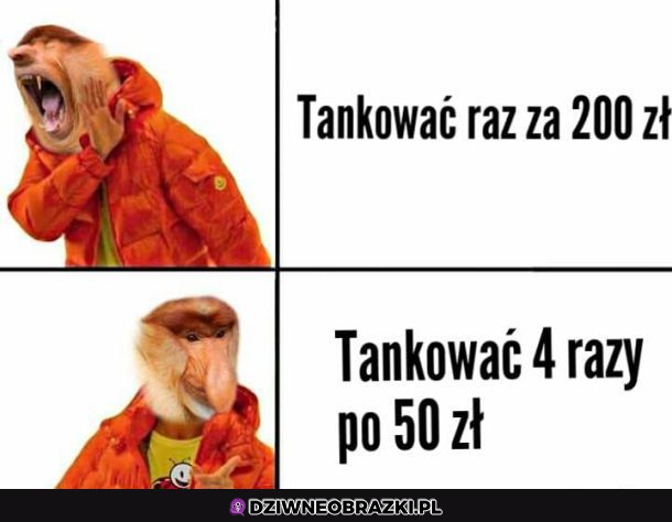 Janusze biznesu