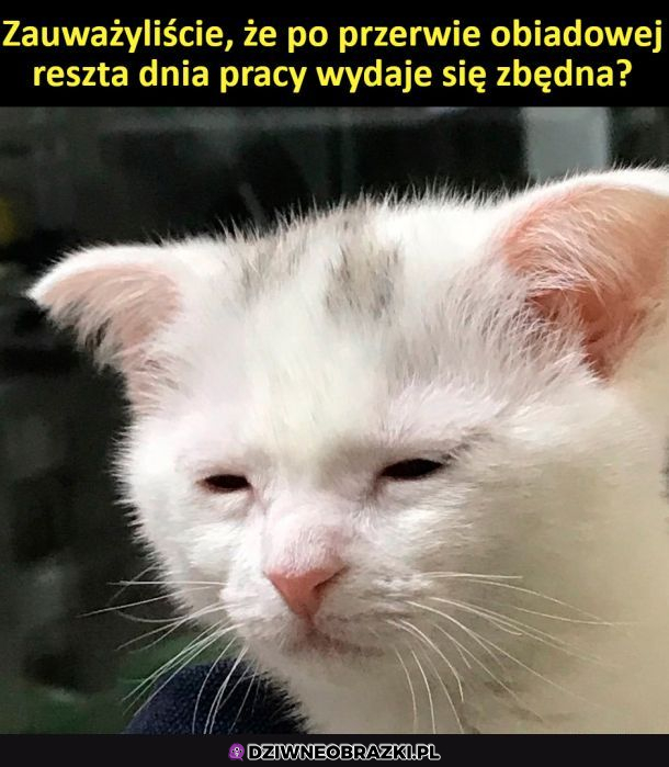 Zauważyliście to?