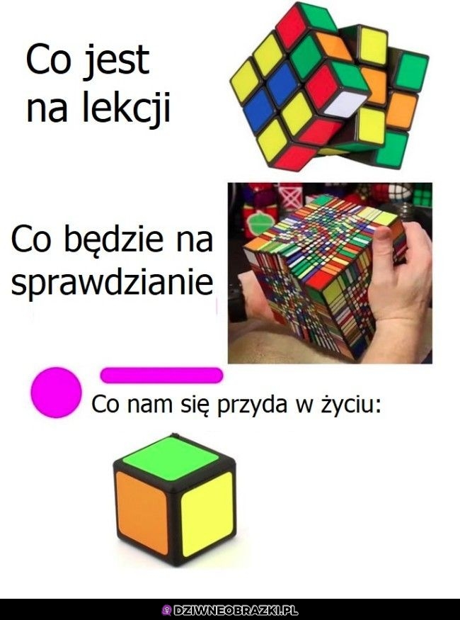 Tak wygląda szkoła
