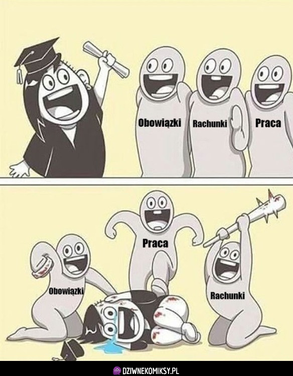 Życie po studiach