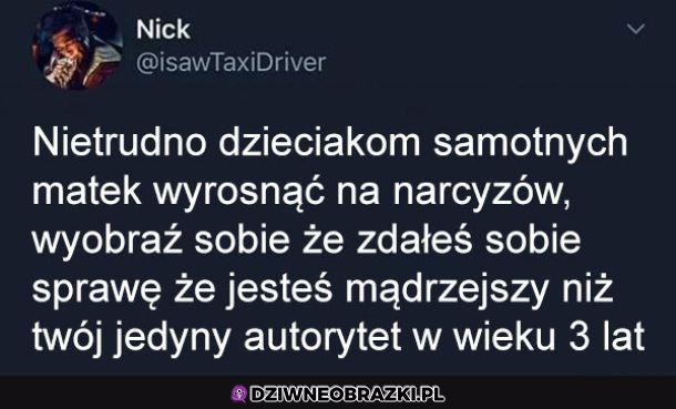Skąd się biorą narcyzi?