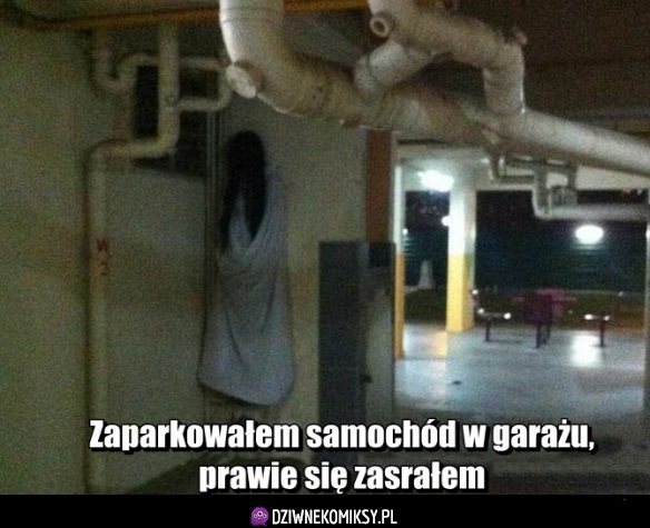 O w mordę