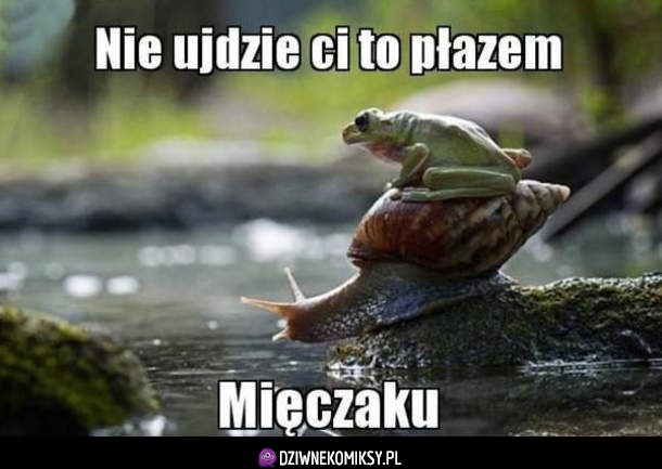 Nie ujdzie płazem