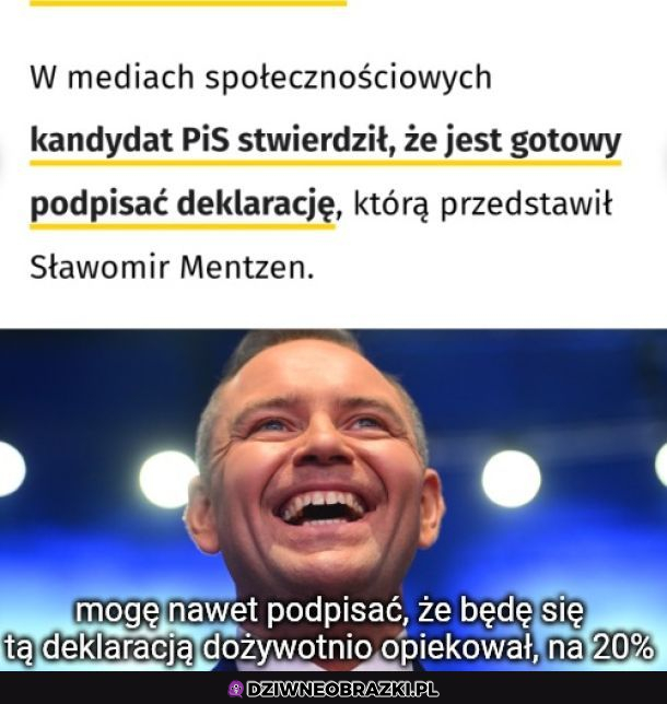 Ah ten PiS
