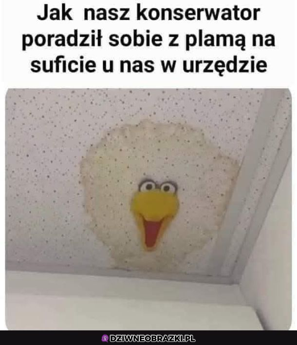 Dobrze sobie poradził?