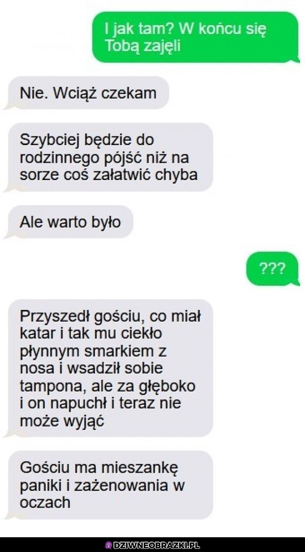 Zwykły dzień na sorze