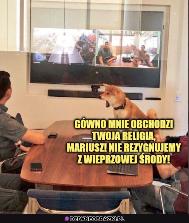 Pies broni swoich praw