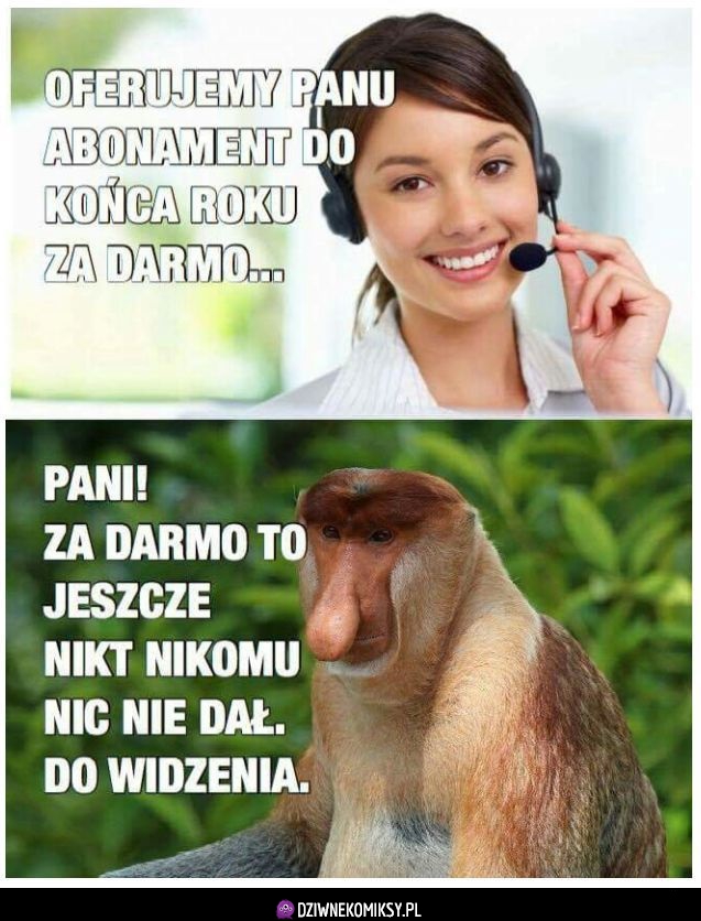 Oferta dla Polaka