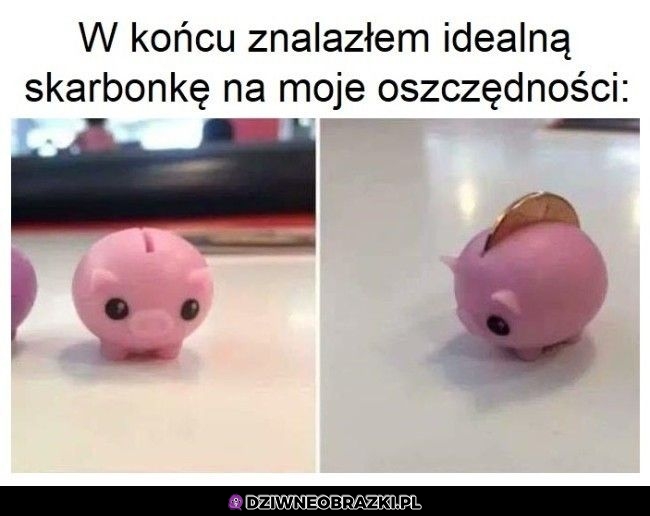 Idealna skarbonka