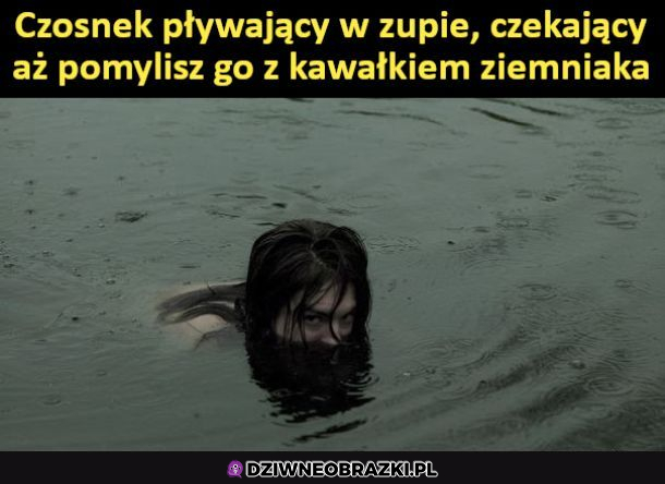 Czosnek