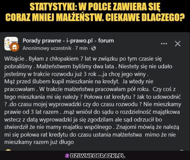 Statystyki