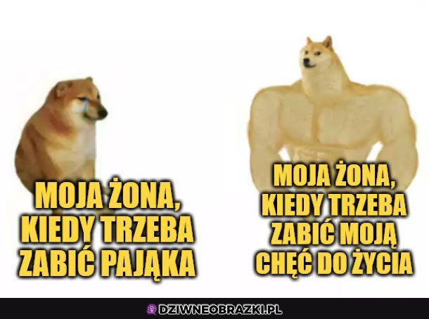 Moja żona