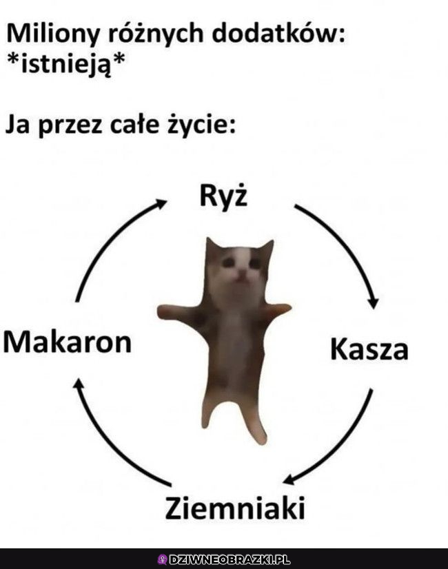typowy ja