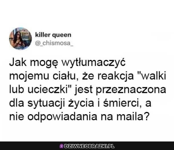 Jak to wytłumaczyć?