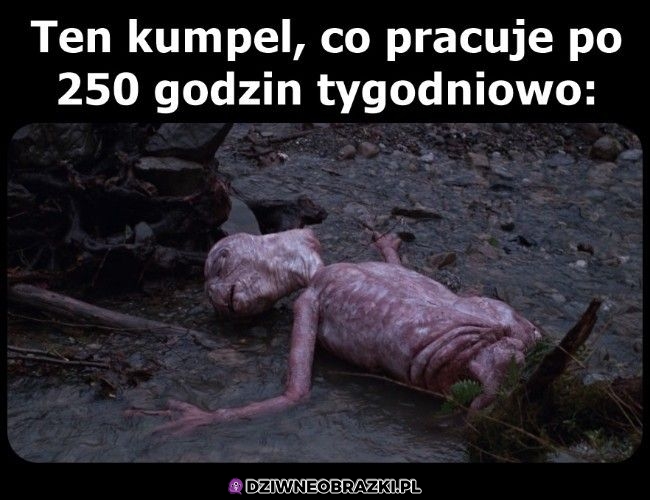 Taki jego wygląd