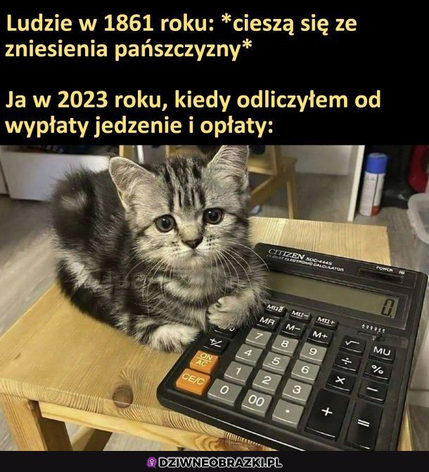 Porównanie