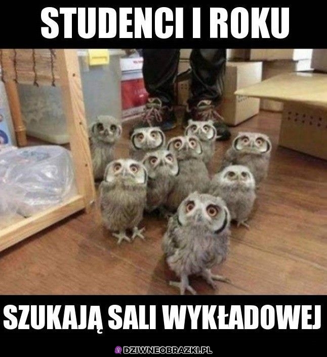 Zagubieni