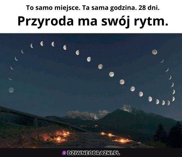 Fajny pomysł na zdjęcia