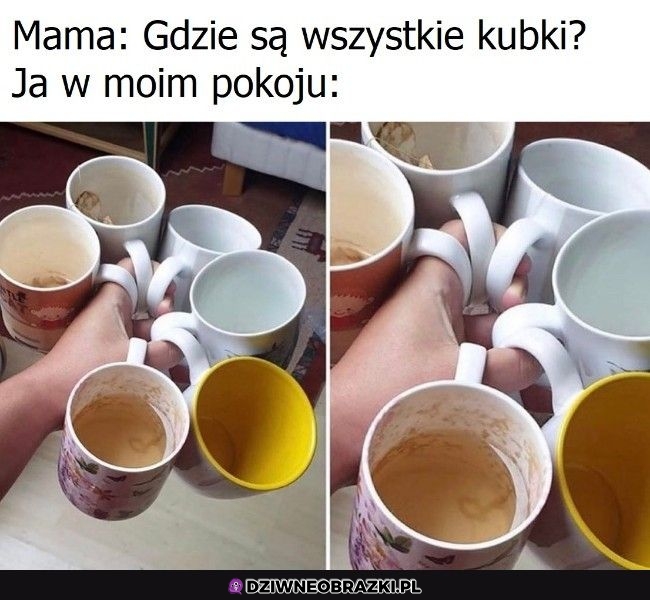Kolekcjonuję