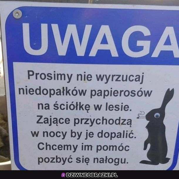 Dobry tekst