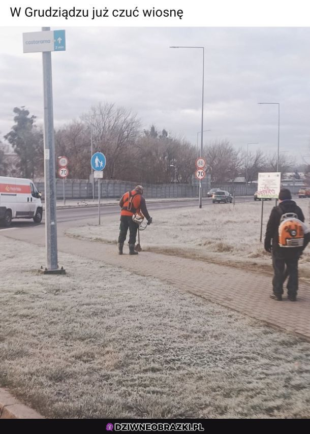 Tymczasem w Grudziądzu