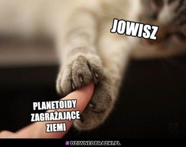 Dzięki byczku